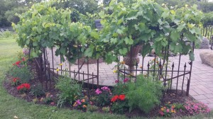 Farm Project 3 After      