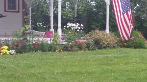 Farm Project 2b After     